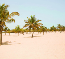 pointe saréne, mbour, sénégal : bon taux d’exécution des travaux de la station balnéaire touristique pointe saréne, mbour, sénégal : bon taux d’exécution des travaux de la station balnéaire touristique