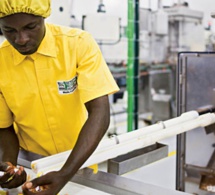 université du sine saloum el hadji ibrahima niass : vers la création d’un laboratoire d’analyse et d’essai en agroalimentaire université du sine saloum el hadji ibrahima niass : vers la création d’un laboratoire d’analyse et d’essai en agroalimentaire