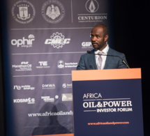 nj ayuk, président exécutif, chambre africaine de l'énergie : "nous sommes convaincus que le ministre ondo fera un excellent travail." nj ayuk, président exécutif, chambre africaine de l'énergie : "nous sommes convaincus que le ministre ondo fera un excellent travail."