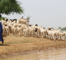 plongée au cœur du régime foncier de l’eau au sénégal plongée au cœur du régime foncier de l’eau au sénégal