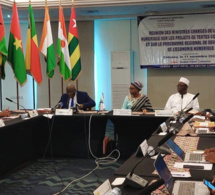 uemoa : le programme régional de développement de l’économie numérique adopté en conseil des ministres
