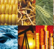 les prix des matières premières enregistreront la plus forte baisse depuis la pandémie les prix des matières premières enregistreront la plus forte baisse depuis la pandémie