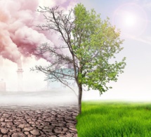 La FAO lance un plan d’action en faveur de son ambitieuse stratégie pour le climat La FAO lance un plan d’action en faveur de son ambitieuse stratégie pour le climat