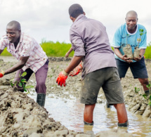 Le numérique au service de l’agriculture rurale au Sénégal Le numérique au service de l’agriculture rurale au Sénégal