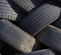 sénégal : du lubrifiant et du carbone dans les champs de baobabs de sandiara sénégal : du lubrifiant et du carbone dans les champs de baobabs de sandiara