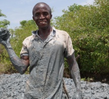 en guinée-bissau, la reconstruction de digues est une source de nouveaux revenus en guinée-bissau, la reconstruction de digues est une source de nouveaux revenus