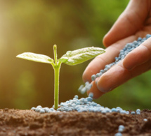 campagnes de production agricole 2022-2023 au sénégal : le détail de la subvention des intrants agricoles  d'un montant global de 100 milliards fcfa