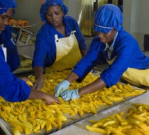 faire du secteur agroalimentaire une priorité pour les investissements directs étrangers dans le secteur agroalimentaire faire du secteur agroalimentaire une priorité pour les investissements directs étrangers dans le secteur agroalimentaire