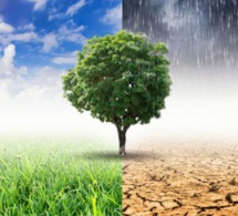 le forum économique mondial va accélérer l’action climatique multipartite à la cop28 le forum économique mondial va accélérer l’action climatique multipartite à la cop28