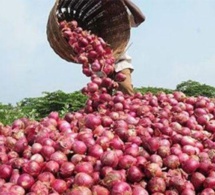 politique de prix à la consommation : l’état sénégalais constant dans ses subventions de tous ordres politique de prix à la consommation : l’état sénégalais constant dans ses subventions de tous ordres