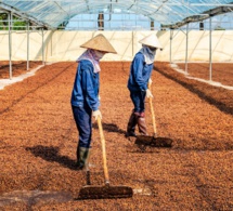 commerce et développement : la cnuced publie son manuel de statistiques 2023 commerce et développement : la cnuced publie son manuel de statistiques 2023