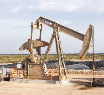 titres miniers et pétroliers : moins d’engouement, manquements et anomalies sur les opérations d’octroi, de renouvellement et de transfert titres miniers et pétroliers : moins d’engouement, manquements et anomalies sur les opérations d’octroi, de renouvellement et de transfert