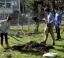 environnement et développement durable : approbation de nouveaux projets et programmes menés par la fao au bénéfice de 46 pays environnement et développement durable : approbation de nouveaux projets et programmes menés par la fao au bénéfice de 46 pays