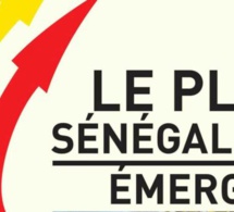 pse : les funérailles de l’endettement ruineux pse : les funérailles de l’endettement ruineux