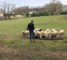 la « disparition en silence » de vastes pâturages menace le climat, l’alimentation et le bien-être (cnuld)