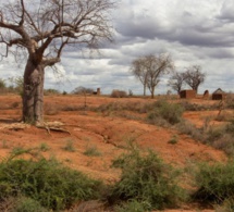 lancement de la 2ème école d'été sur les forêts des zones arides et les systèmes agrosylvopastoraux  lancement de la 2ème école d'été sur les forêts des zones arides et les systèmes agrosylvopastoraux