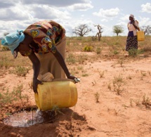 sénégal : les conclusions du diagnostic sur le  financement des risques climatiques et de catastrophes bientôt dévoilées sénégal : les conclusions du diagnostic sur le  financement des risques climatiques et de catastrophes bientôt dévoilées