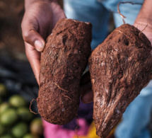 repenser l’agriculture en afrique pour éradiquer le travail des enfants : savourer le patrimoine grâce aux aliments oubliés