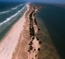exploitation du pétrole et du gaz sénégalais : les décisions du gouvernement pour une prise en charge exhaustive des risques environnementaux exploitation du pétrole et du gaz sénégalais : les décisions du gouvernement pour une prise en charge exhaustive des risques environnementaux