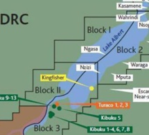 république démocratique du congo : fin de la vente aux enchères de 30 blocs pétroliers et gaziers république démocratique du congo : fin de la vente aux enchères de 30 blocs pétroliers et gaziers