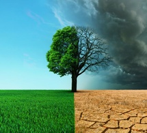 sénégal 2050 : le méga-risque 'climat' sénégal 2050 : le méga-risque 'climat'