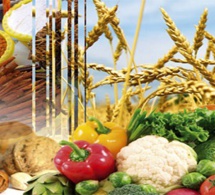 Conflits et mauvais temps compromettent la sécurité alimentaire