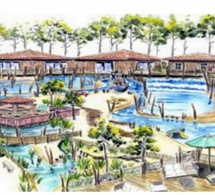 Les Nations-unies proclament 2017 année internationale du tourisme durable pour le développement Les Nations-unies proclament 2017 année internationale du tourisme durable pour le développement