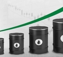 énergie : les prix du pétrole gagne du terrain