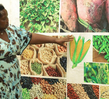 les bienfaits de la biodiversité (histoire) les bienfaits de la biodiversité (histoire)