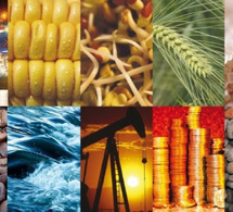 matières premières : les prix pétroliers sur le chemin de la baisse, le cuivre se stabilise matières premières : les prix pétroliers sur le chemin de la baisse, le cuivre se stabilise