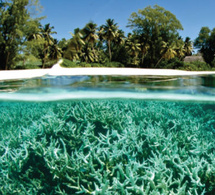 un nouveau rapport révèle les échecs du financement climatique et appelle à des solutions urgentes pour la migration des investissements un nouveau rapport révèle les échecs du financement climatique et appelle à des solutions urgentes pour la migration des investissements