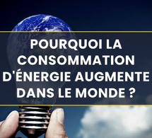 la croissance de la demande mondiale d'énergie a bondi en 2024 pour atteindre près du double de sa moyenne récente