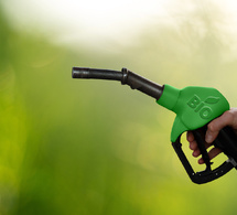 combustibles et biocarburants au sénégal : nouvelle stratégie décennale pour combler le déficit d’accès à une énergie de cuisson propre combustibles et biocarburants au sénégal : nouvelle stratégie décennale pour combler le déficit d’accès à une énergie de cuisson propre