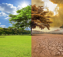 b lab africa annonce son sommet 2025 à johannesburg : faire progresser l'action climatique, l'investissement esg et la croissance inclusive