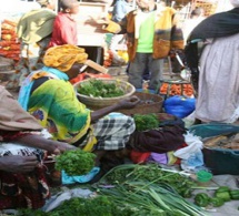 Sénégal : visite guidée des principaux marchés de Dakar