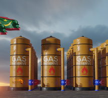 Mauritanie : l'émergence d'un acteur clé gazier et renouvelable Mauritanie : l'émergence d'un acteur clé gazier et renouvelable