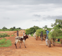 Actualités énergétiques Bénin : accélération de la transition énergétique et environnementale