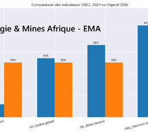 Sénégal : le contenu local entre résultats mesurables et vision 2050