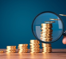 Assistance administrative fiscale : un débat révélateur des fractures Nord-Sud