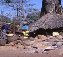 Tourisme : visite guidée au pays Bassari, dans le Sénégal profond