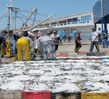 Maroc : augmentation de plus d’un tiers des débarquements de la pêche côtière et artisanale