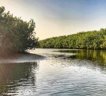 Sénégal : le compte à rebours d’IMPAC 6 lancé à la Somone