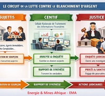 Traquer l’argent sale : le guide pratique du journaliste d’investigation avec la CENTIF