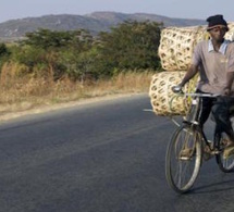 Zambie: Zambikes, des vélos en bambou pour le marché mondial