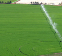 Hausse de 57 pour cent du Pib agricole du Maroc en 8 ans