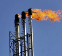 La Tunisie entame la publication des contrats pétroliers en «open data» La Tunisie entame la publication des contrats pétroliers en «open data»