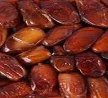 Dattes : 100 mille tonnes exportées par la Tunisie