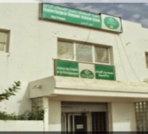 Mauritanie : les débiteurs de la filière agricole dans le viseur de la CDD