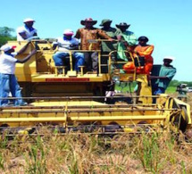 Recensement général agricole : les producteurs de statistiques agricoles veulent gagner le pari